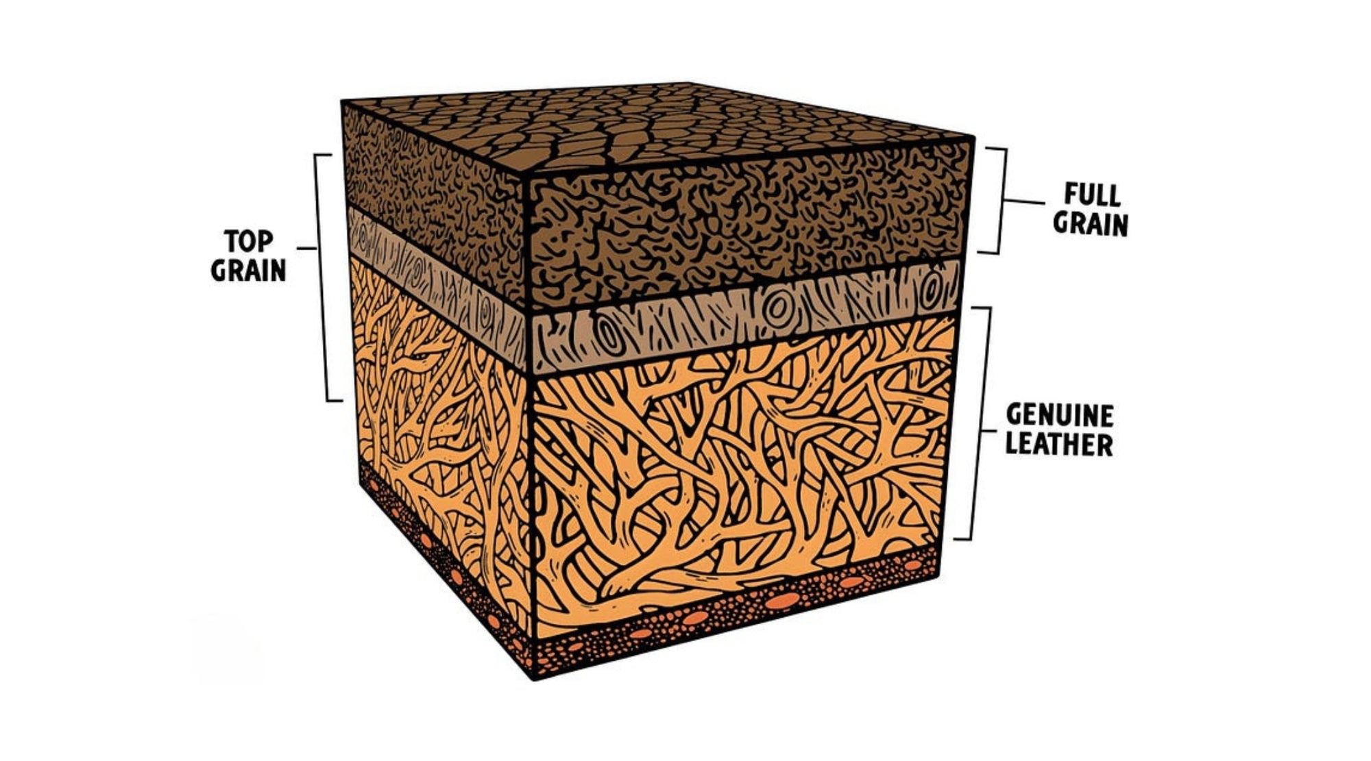 Full Grain vs Top Grain Leather: Anatomy of Leather